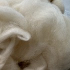 Spinners Hill Bfl Bluefaced Leicester Wool Roving Top 4 3 Oz Natural Cream