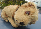 Antique Steiff Dog Rare Red Trailing F Button Vintage German Prewar Toy Bear 12 
