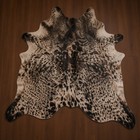 Speckled Brindle Cowhide Rug Hair On Authentic Leather Large Hide Approx 7x8 Ft