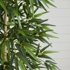 6    Artificial Bamboo Tree With Natural Trunks Garden Decor