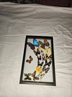 19 Genuine Butterflies In Black Display Frame