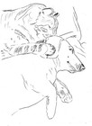 Custom Watercolor Painting From Photo  Personalized Portrait Pet Animal Art