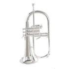 Brand New Professional Gold Lacquer Bb Yellow Brass Bell Flugelhorns With Case
