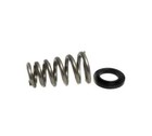Brian Tooley Tooley Racing Btr Sk017 Valve Springs For 2009  Gen Iii Hemi 5 7l