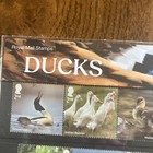 Gb 2025 Ducks  2ndx5   1stx5  Presentation Pack Mnh Stamps