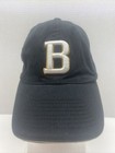 Dale Earnhardt Jr Black Chase Hat cap Nascar Budweiser  8 Free Shipping  