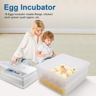 Automatic Incubator 16 Eggs  Hatcher Machine With Temperature Control  Automatic
