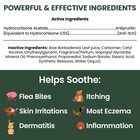 Chew   Heal Labs Hydrocortisone Lotion For Dogs - 8 Oz Anti Itch Cream 8 