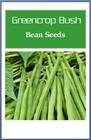 Greencrop Bush Bean Seeds    Non-gmo Bean Seeds   Fresh Heirloom Garden Seeds
