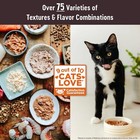 Wellness Core Tuna Wet Cat Food Grain Free Pouches 12 Pack Protein Rich 1 75oz