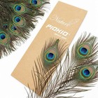 50 Pcs Peacock Feathers 10-12 Inch Wholesale Bulk Decorative Craft Wedding