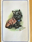 Terrier Scottie Dog Yorkshire In A Tartan Coat Hasty Note Blank Card