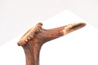 Antique Native American Indian Plains Carved Antler War Club Axe Weapon 