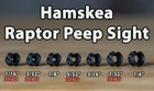 Hamskea Raptor 3 16in Bow Peep Sight - Black  peep003 