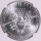 2013 American Silver Eagle 1 Oz  999 Fine Silver Dollar