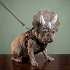 Halloween Horror Dog Dinosaur Costume Hat