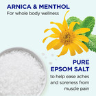 Dr Teal s Pure Epsom Salt Magnesium Soak  Arnica Body Relief With Menthol  6 Lbs
