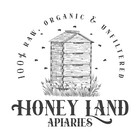 Raw Honey 1 Lb  454g -100  Wildflower Local Organic Unfiltered Classic Glass Jar