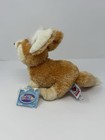 Ganz Webkinz Fennec Fox Plush Hm631 With Sealed Unused Code Tag Stuffed Animal