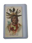 1888 N2 Allen   Ginter American Indian Chiefs Many Horns Blackfeet Sioux Tobacco