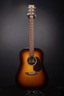 Martin D-x2e Dreadnought Acoustic-electric Guitar - Ziricote Burst