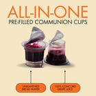 Communion Plus  Travel Bag Set     50 Cup With 100  Concord Grape Juice   Wafer