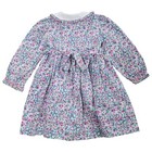 Vintage Cottagecore Dress Toddler Girls 3t Floral Embroidered Ruffle Collar Read