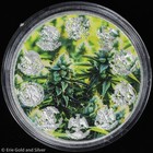 2023 Mexico Libertad Spliffertad Edition 1 Oz Silver Coin W  Coa