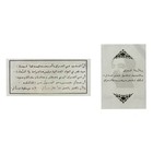 Set Of 2 Diff  Iraq War Propaganda Leaflets Nice New