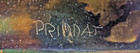Priddat Signed Copper Acid Etching Our Native Land Inuit Qimmiq Mushers Sled Dog