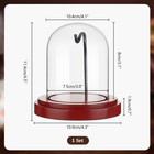 Ph Pandahall 3 X 4 Inch Pocket Watch Display Case Glass Watch Dome Cloche With M