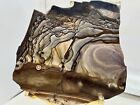 Rare Rare Rare Aaa Grade High Polished Blue Biggs Picture Jasper Lapidary Slab 