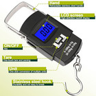 Digital Fish Scale With Fishing Gripper  110lb Weight Max  Electronic Hanging