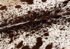 100  New Cowhide Rugs Area Cow Skin Leather  50  X 48   Cow Hide Sa-1192
