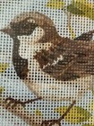 Rto Printed Needlepoint Tapestry   20x25 Cm  Kit With Floss Needle