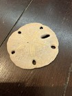 Fossilized Sand Dollar Fossil  3 5    In Diameter  Weighing 3 3 Oz 