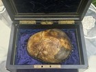 Vintage Antique Burl Wood Vanity Storage Case Box Kapala Real Human Skull Cup 