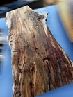 Xl Mind Blowing Spalted Birdseye Maple Burlwood Charcuterie Slab Epoxy Slab Wood
