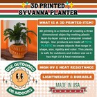 The Syvanna Space Age Retro Minimalist Planter Vintage Inspired  Mid Century Mod