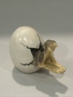 Real Taxidermy Western Rattlesnake Head With Open Mouth And Fangs In Ceramic Egg