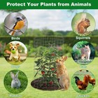 Winemana 12 Set Plant Cages For Outdoor