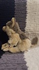 Webkinz Signature Timber Wolf  -code Is Used