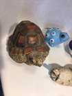 Stone Critters And Other Turtle Figurines Lot 