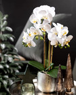 Artificial Flower White Phalaenopsis Orchid 24  In Silver Ceramic Vase