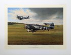 Days Of Thunder By Richard Taylor Aviation Art Signed By A Ww2 P-47 Fighter Ace