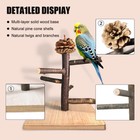 Bird Perch Stand  Portable Tabletop Bird Play Stand Parrot Training Perch For   