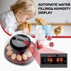 12 Eggs Incubator Automatic Turning Chicken Hatcher Incubators For Hatching Eggs