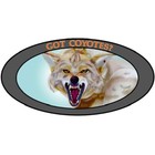 Anti-attack Coyote  Hawk  Bullies  Customize Colors And Size   Easy On Easy Off 