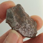 Natural Aletai Iron Meteorite 42 5 Grams Original Stone Perfect Fusion Crust