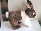 Webkinz Signature Dutch Bunny Plush White Brown Rabbit Ganz Wks1011 No Code